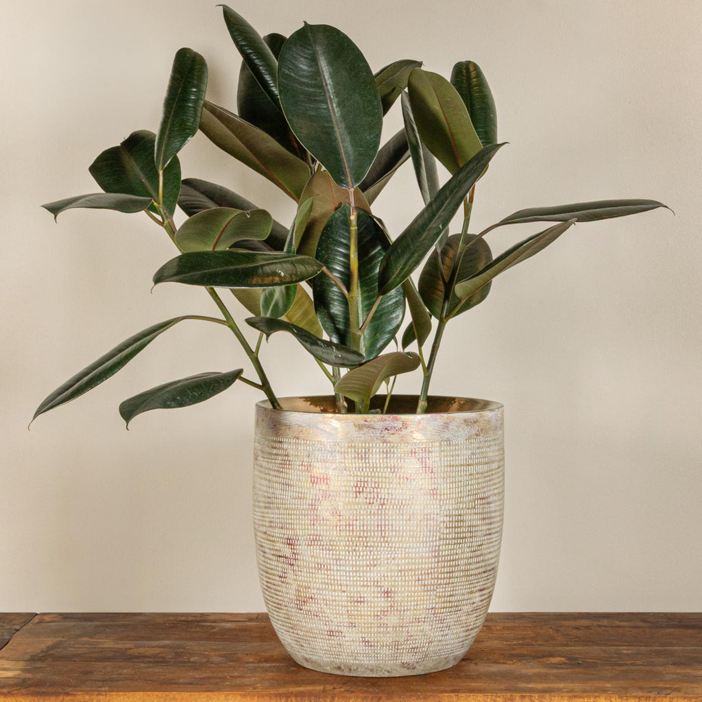 Embossed Textured Stoneware Planter, Metallic Gold