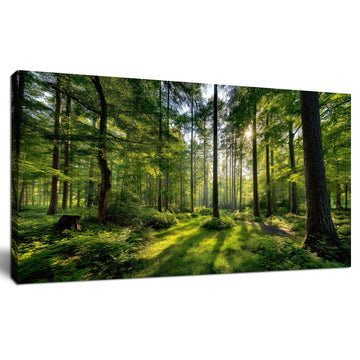 Large Forest Wall Art Green Woodland Landscape with Sunlight Modern Nature Wall Decor Office Home Decor 20"x40"