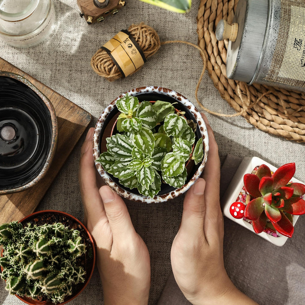 Succulent Pots, 4 Inch Small Indoor Ceramic Planter Pot with Drainage Holes and Saucers for Plants- Reactive Glaze
