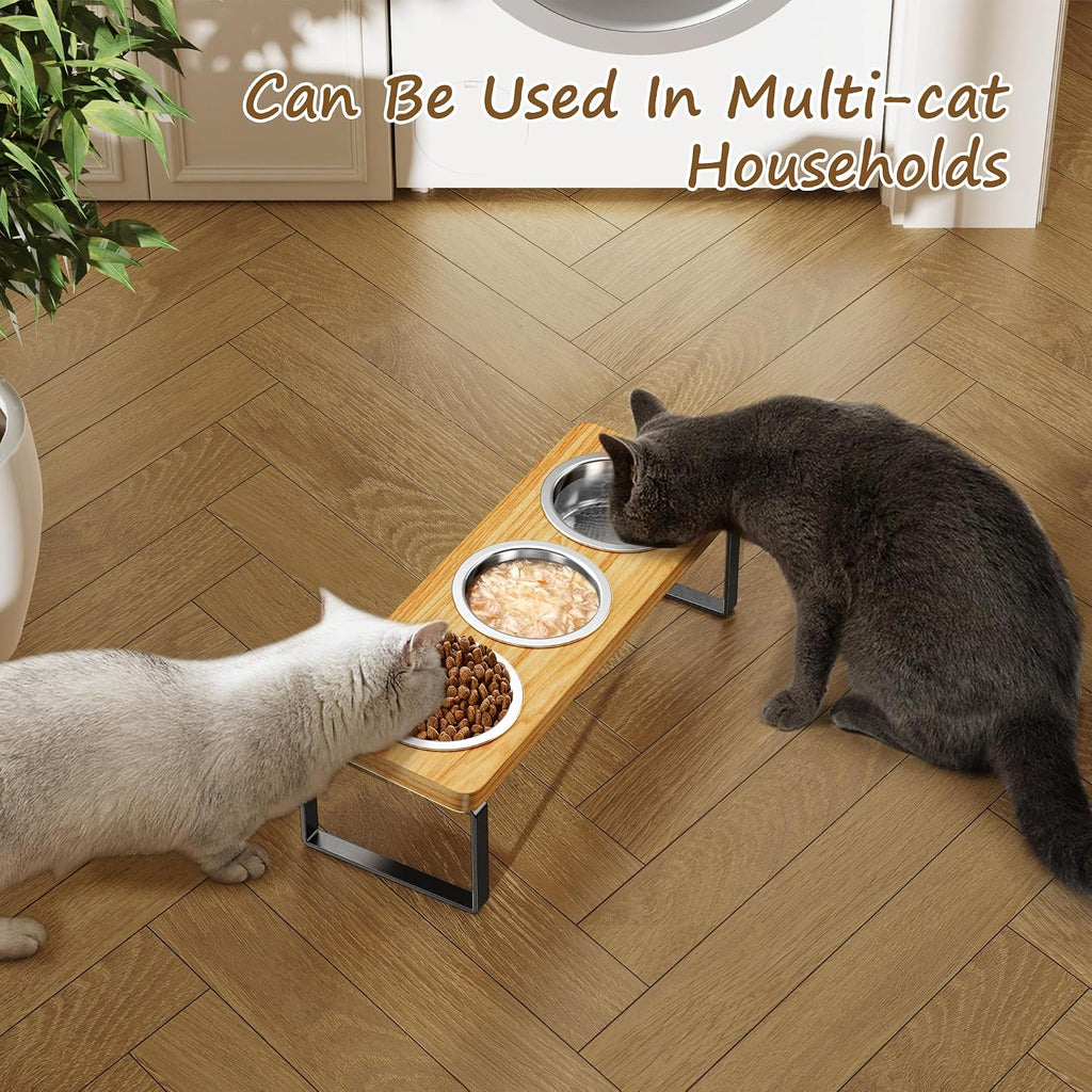 Elevated Cat Bowls with 3 Stainless Steel Bowls | 10° Tilted Anti-Vomiting Raised Cat Food Bowl for Small Cats