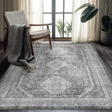 3x5 Vintage Area Rug, Machine Washable, Non Slip & Low Pile Lightweight for Living Room, Entryway, B