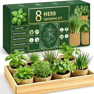 Indoor Herb Garden Kit, Culinary Herb Starter Kit with Seeds & Tools for Beginners, Kitchen Decor, House Warming