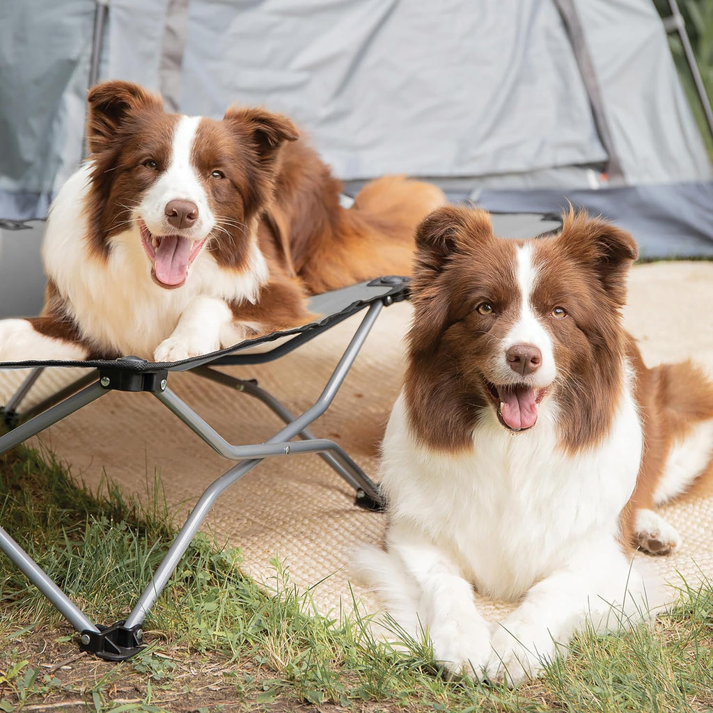 8025 Elevated Folding Pet Bed 47" Long, Charcoal