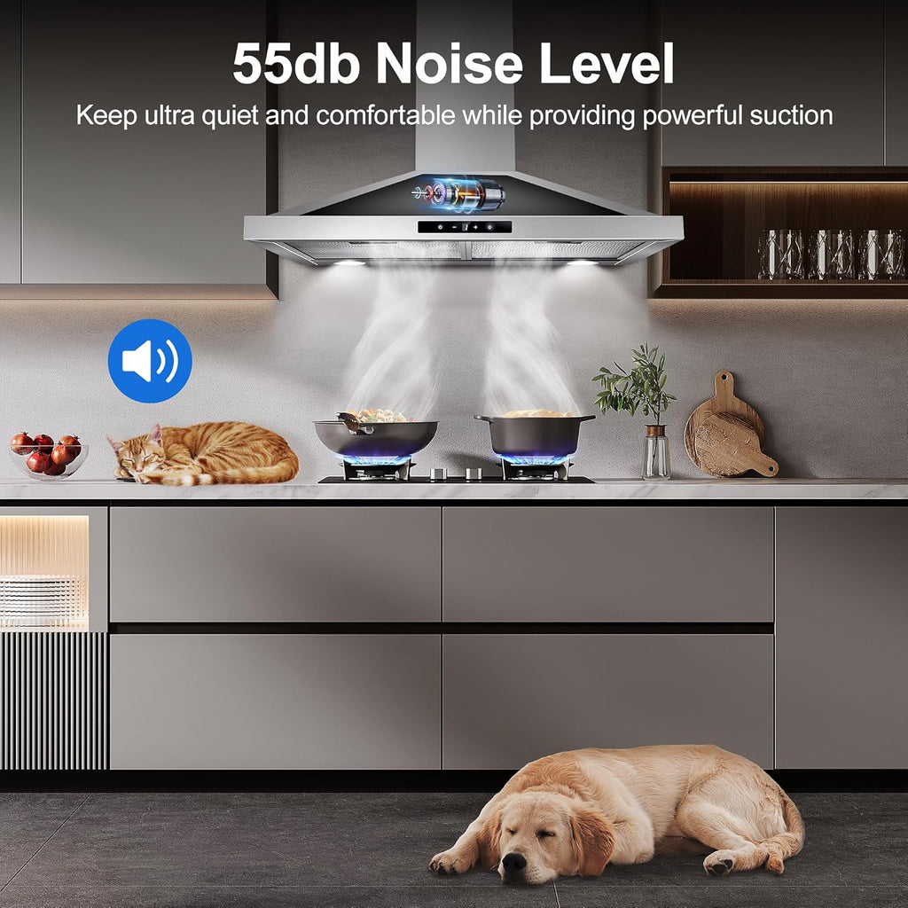 30 Inch Stainless Steel Wall Mount Range Hood 450 CFM 3 Speed Touch Control, LED Lights, Aluminum Filters, Convertible Ducted/Ductless