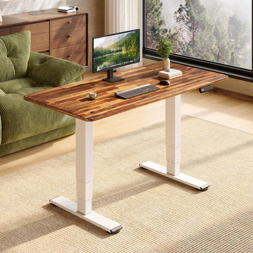 Solid Wood Dual Motor Standing Desk-48"x24"-Natural/White