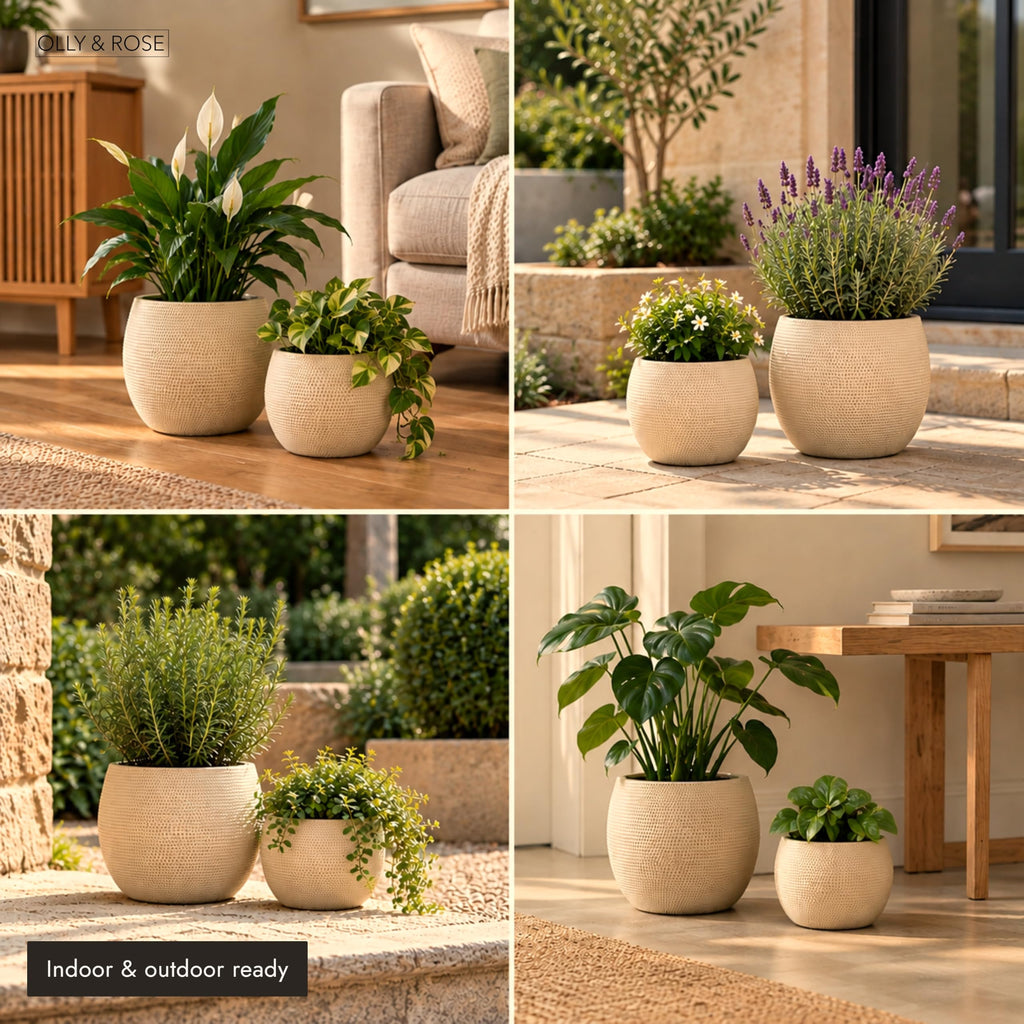Barcelona Barcelona Ceramic Cement Plant Pot Set 2 - Beige Flower Pots - Indoor & Outdoor Planters