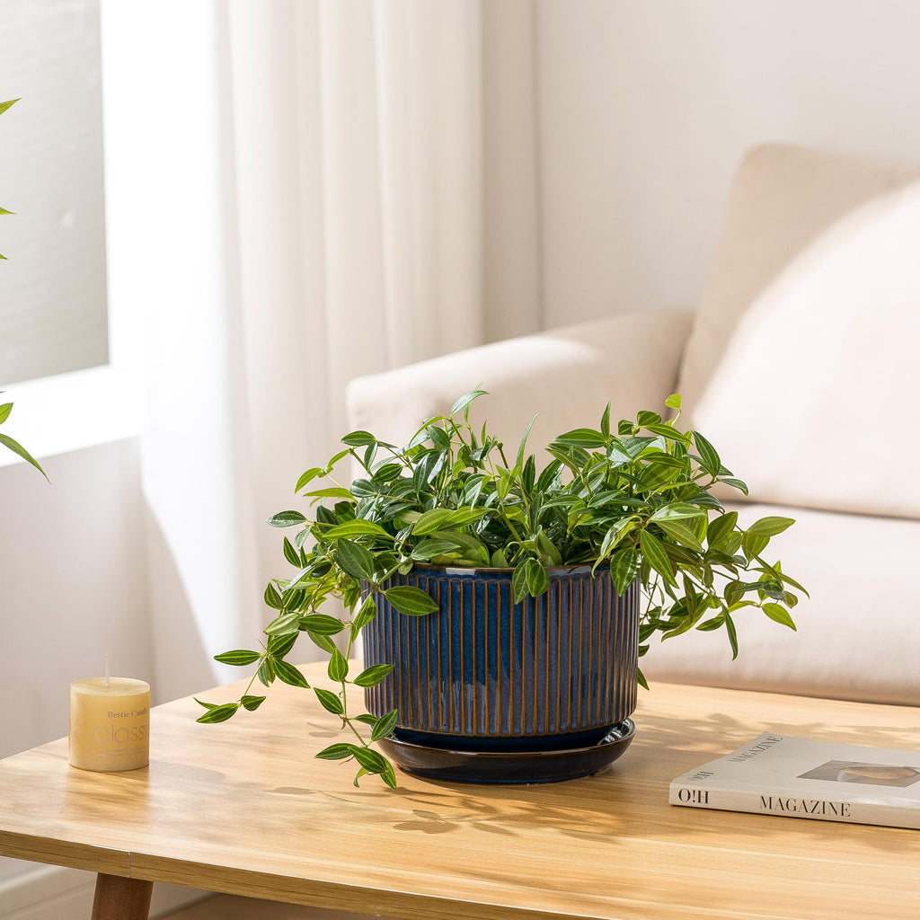 Ceramic Plant Pots Set of 3, 4.3+5.5+6.8 Inch Indoor Outdoor Planters with Drainage Hole and Saucer, Ceramic Flower
