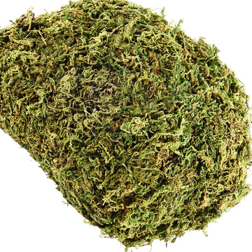 35 OZ Fake Moss for Potted Plants Artificial Moss for Fake Plants Faux Moss for Planters Decorative Moss for Craft