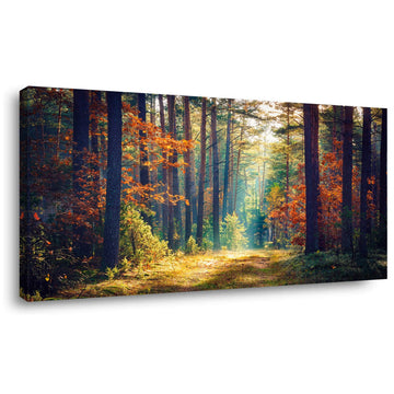 Autumn Forest Large Stretched Canvas Wall Art Bedroom Home Decoration, Mordern Morning Sunlight Wood Print Picture