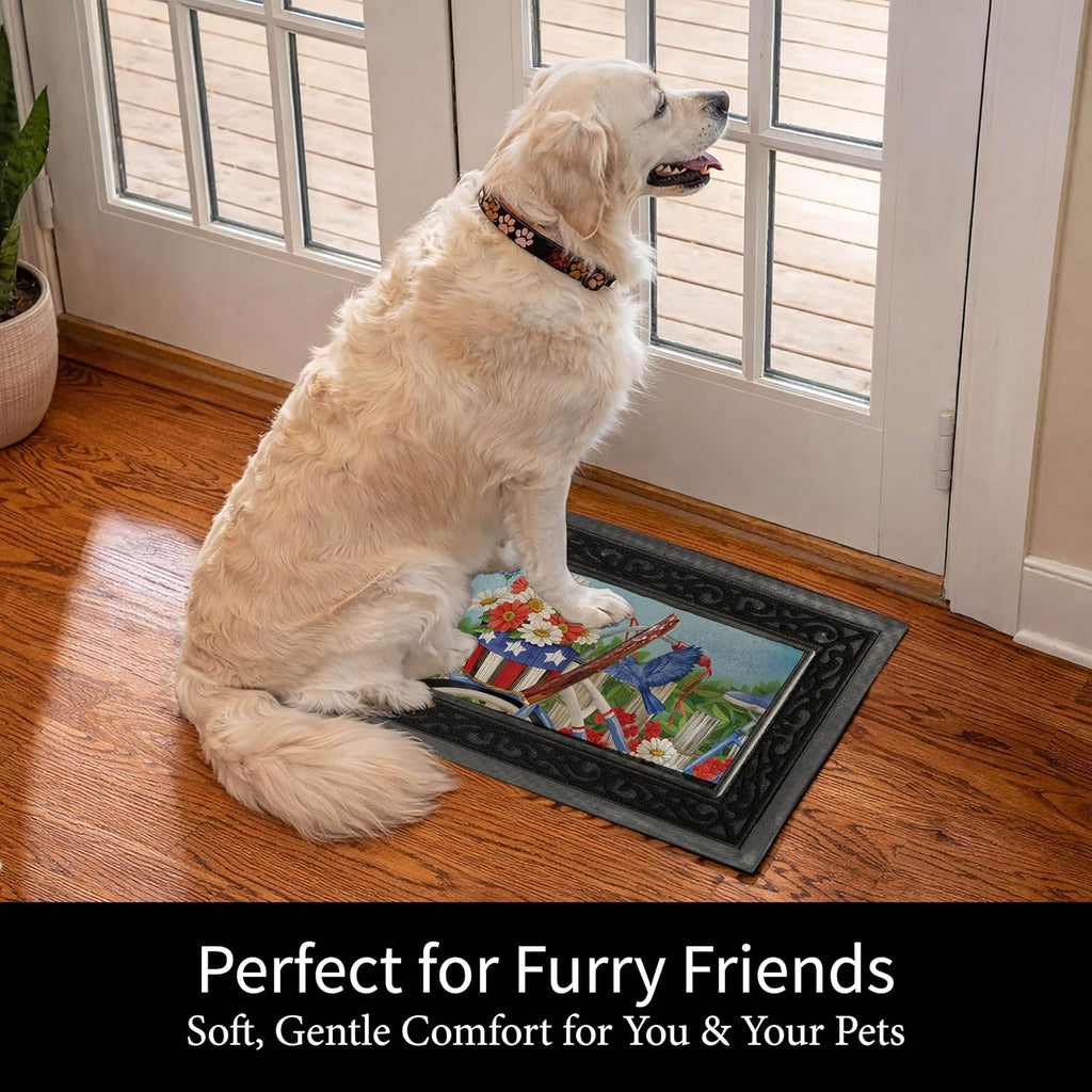 Sassafras Spring Holiday Doormat Insert Bundle & Tray Set of 5, Interchangeable Entrance Door mats Indoor and Outdoor