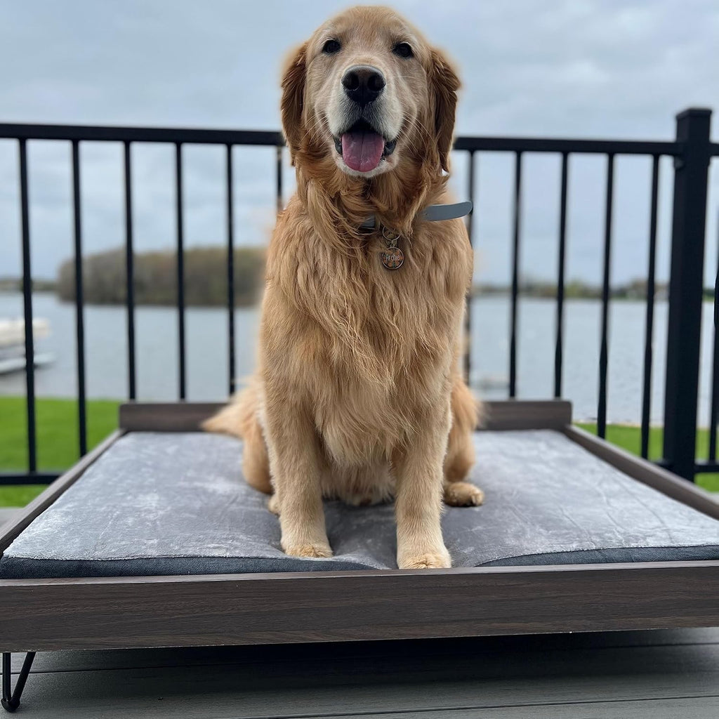 Chase Wooden Dog Bed with Calming Mattress, Elevated Pet Ded, Large
