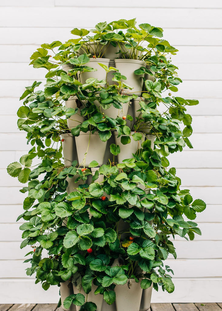 7 Tier Leaf Planter (Stunning Stone)