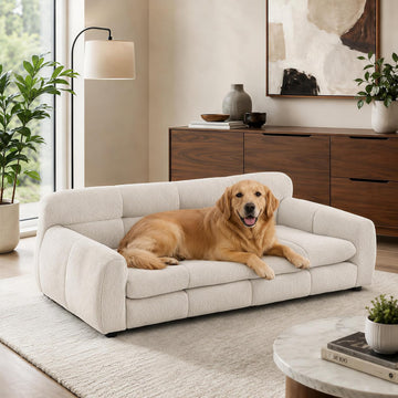 Large Dog Sofa, for Large & Extra Large Dogs