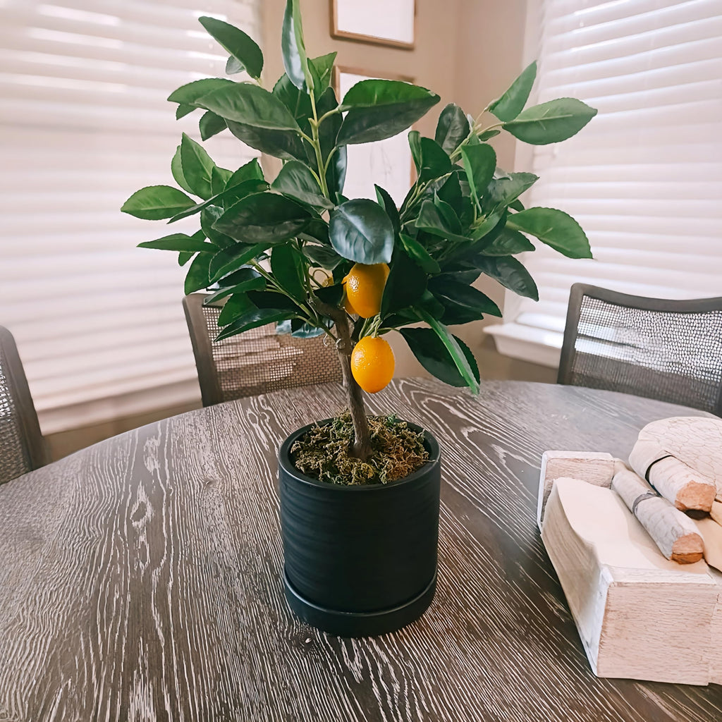 6 Inch Plant Pots, Ceramic Planter Pot with Drainage Hole & Saucer, Indoor/Outdoor Cylinder Round Planter Pot, Matte
