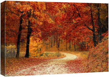 Canvas Print Wall Art Vibrant Orange Autumn Fall Forest Nature Wilderness Realism Decorative Landscape Relax/Calm