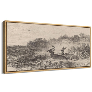 Extra Large Framed Canvas Print Wall Art Vintage Style Deer in Field Sketch Illustrations Modern Art Calm Warm