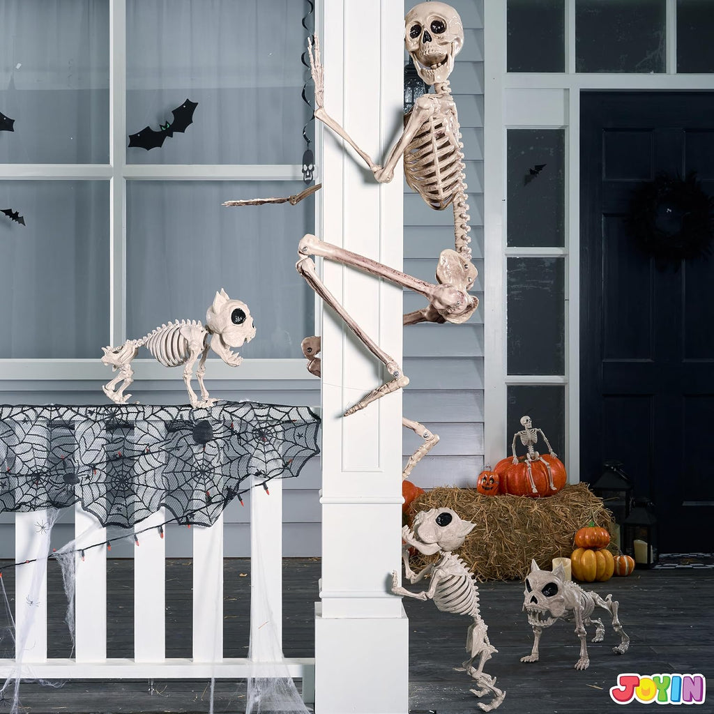 5.6 FT Halloween Posable Life Size Skeleton, Full Body Realistic Bones with Movable Joints, Giant Skeletons Halloween