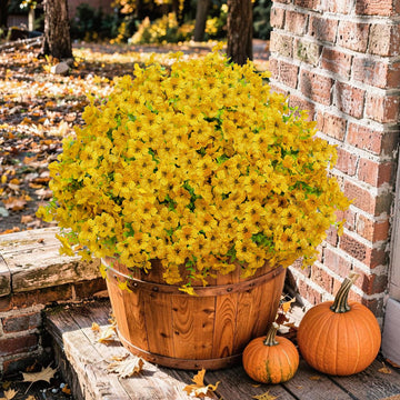 Artificial Fall Mums Outdoor Flowers, UV Resistant Faux Autumn Daisy Plants, Fake Orange Chrysanthemum Bush for Front