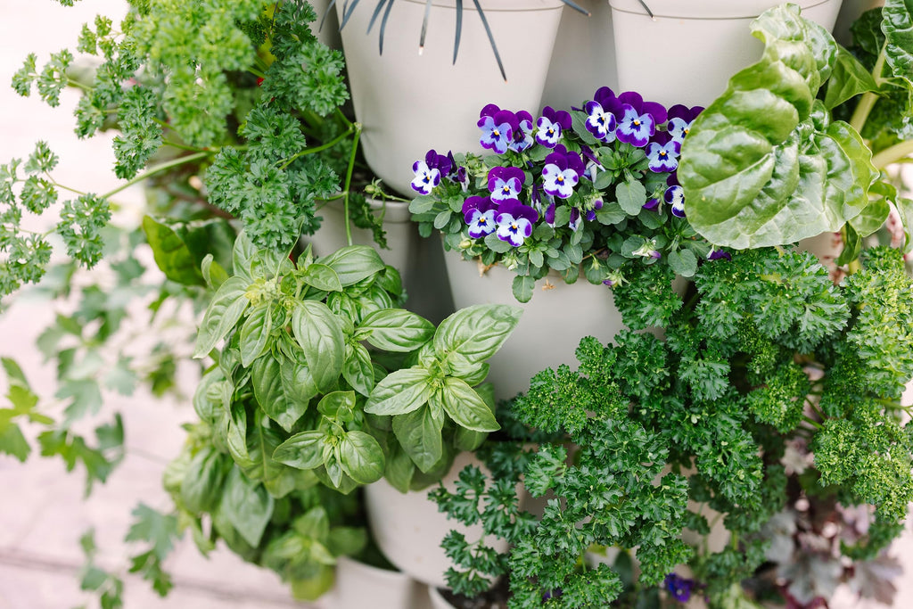 7 Tier Leaf Planter (Stunning Stone)