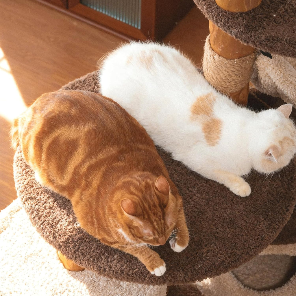 Modern Cat Tree for Indoor Large Cats & Multi-Cat Households, 68'' Solid Wood Cat Tower with 3 Condos, Heavy Duty Cat