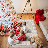 3x5 Living Room Area Rugs: Vintage Washable Non-Slip Rug