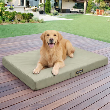 Indestructible Dog Bed for Extra Large Dogs, Chew Proof Orthopedic Egg Crate Foam Pet Mat with Durable