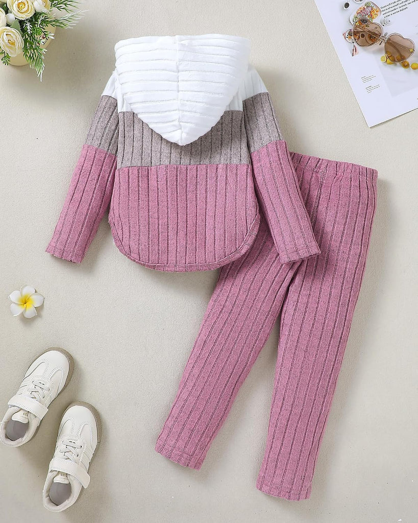 Toddler Girl Clothes Fall Girls Outfits 2 Piece Hoodie and Pants