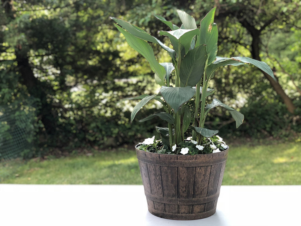 Plant Pots Set of 2 Pack 10 inch, Copper Whiskey Barrel Planters with Drainage Holes. Plastic Decoration Flower Pots