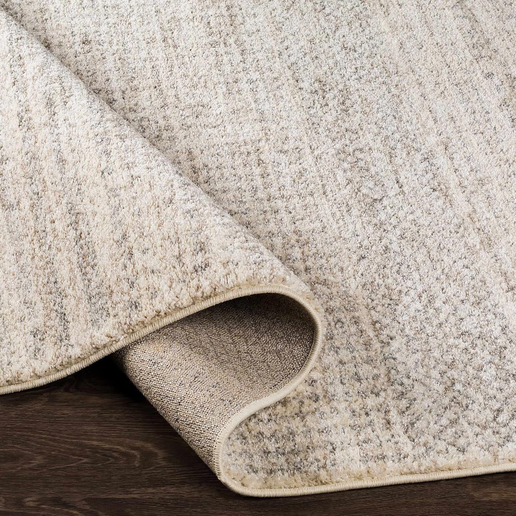 Harpursville Area Rug - Abstract Ombre Faded - Contemporary Modern Scandinavian Minimalist Transitional - High Pile