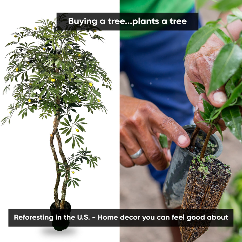 Handmade 6ft Mediterranean Olive Artificial Tree with Ethically Sourced Real Wood Trunks, Hypoallergenic, 6-Foot