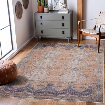 Carrabelle Machine Washable Area Rug - Medallion Geometric Border Distressed Faded - Traditional Oriental