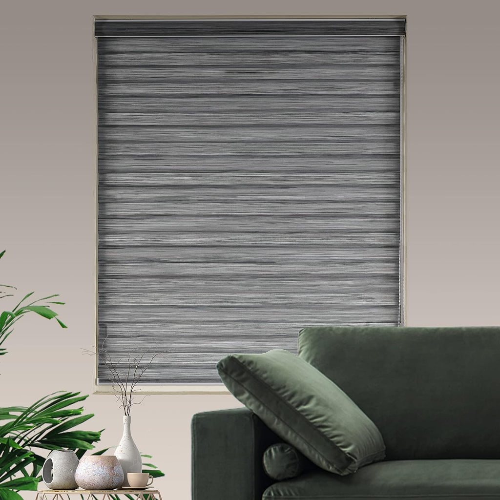 Zebra Blinds for Windows Dual Layer Light Filtering Privacy Free-Stop Sheer Shades Light Control Windows Zebra