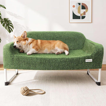 Elevated Dog Bed with Bolster Cushion, 2-in-1 Dog Cot for Medium Dogs