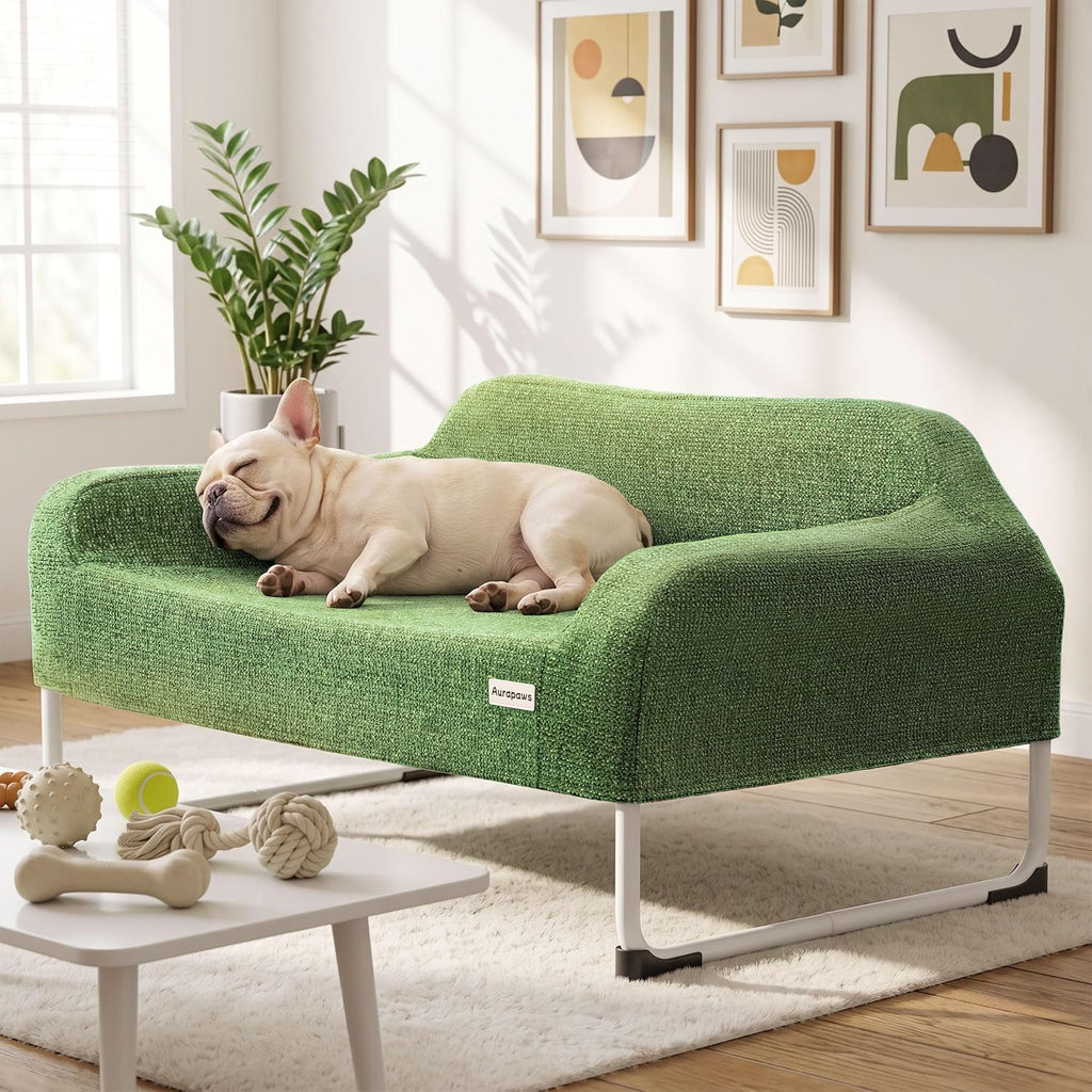 Elevated Dog Bed with Bolster Cushion, 2-in-1 Dog Cot for Medium Dogs