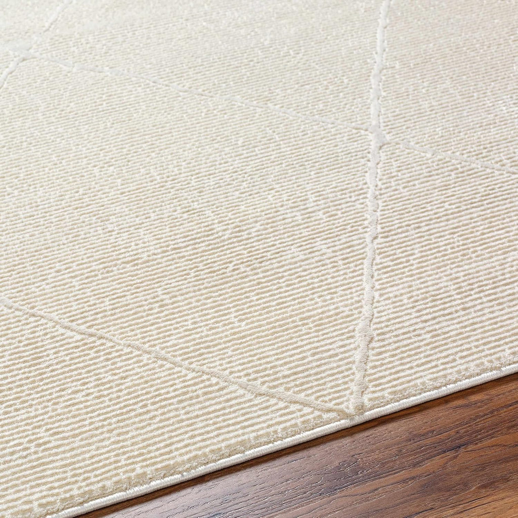 Caelia Living Room, Bedroom Machine Washable Area Rug - Diamond Geometric Trellis - Bohemian Transitional Modern