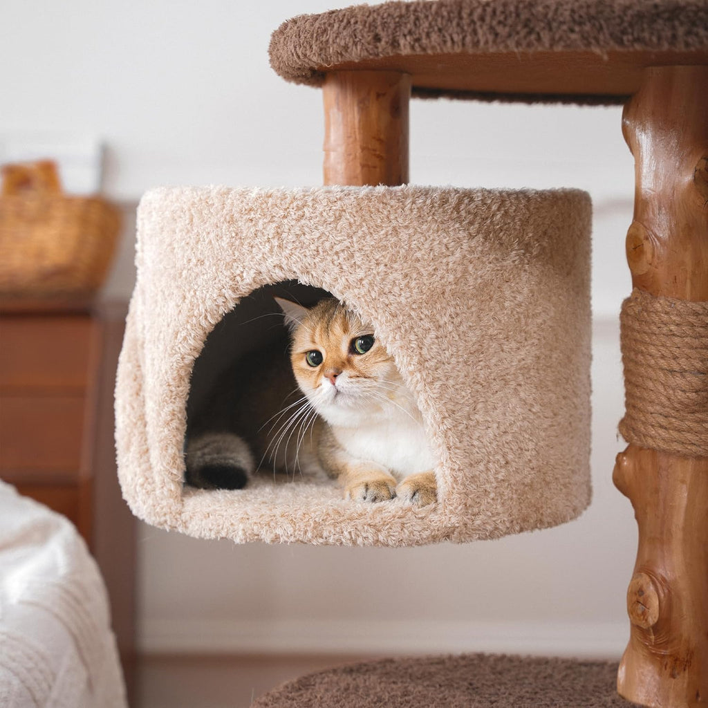 Modern Cat Tree for Indoor Large Cats & Multi-Cat Households, 68'' Solid Wood Cat Tower with 3 Condos, Heavy Duty Cat