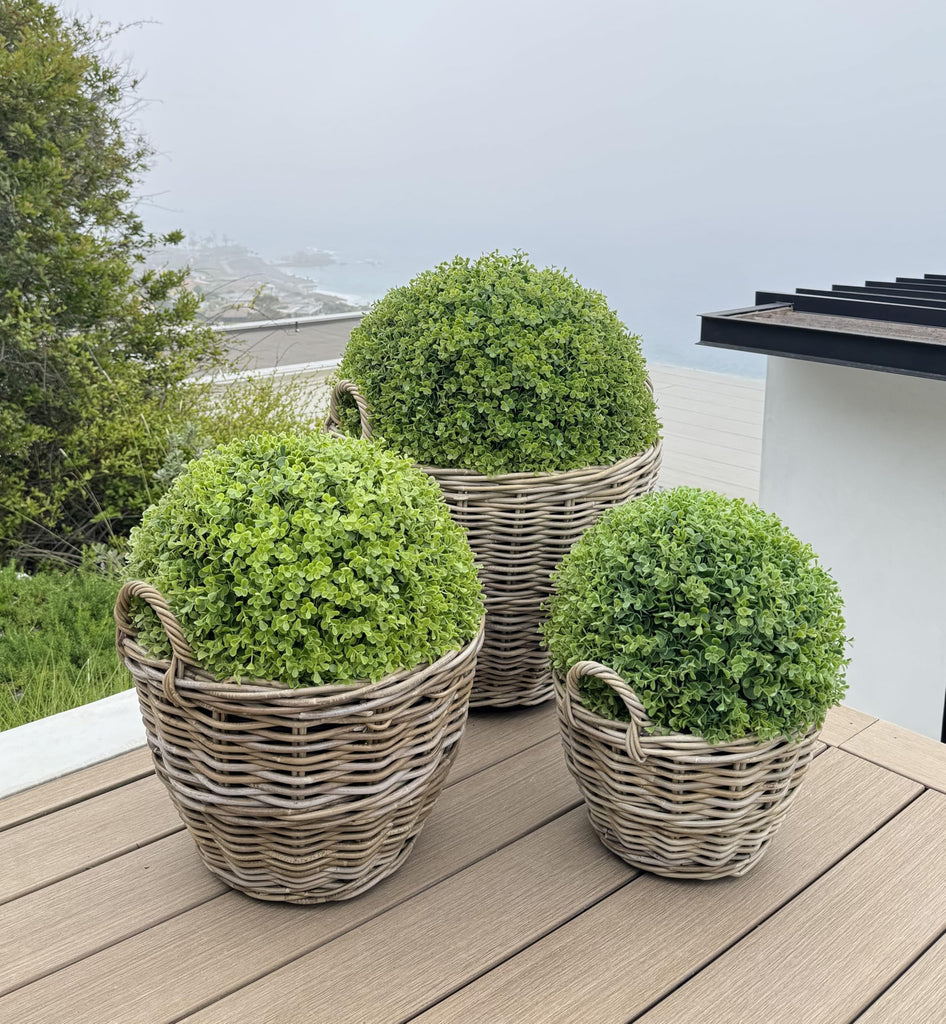 Rattan Kobo Planter Basket with Ear Handles, Large, 11 Gallon