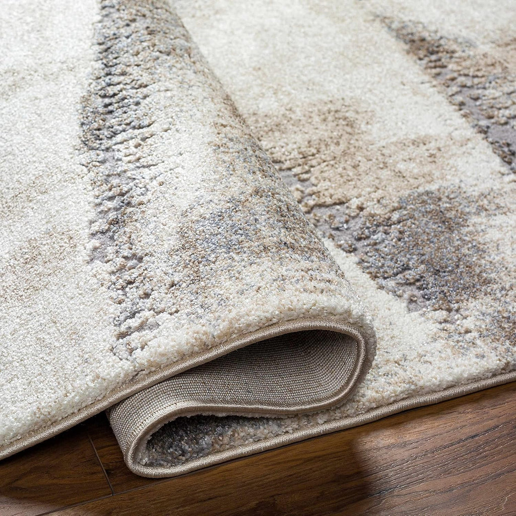 Banji Area Rug - Abstract Distressed Ombre Striped Faded - Contemporary Modern Transitional Minimalist - High Pile