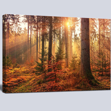Mystery Forest Light Wall Art, Nature Landscape Pictures Canvas Prints Wall Decor, Autumn Trees Paintings Hang