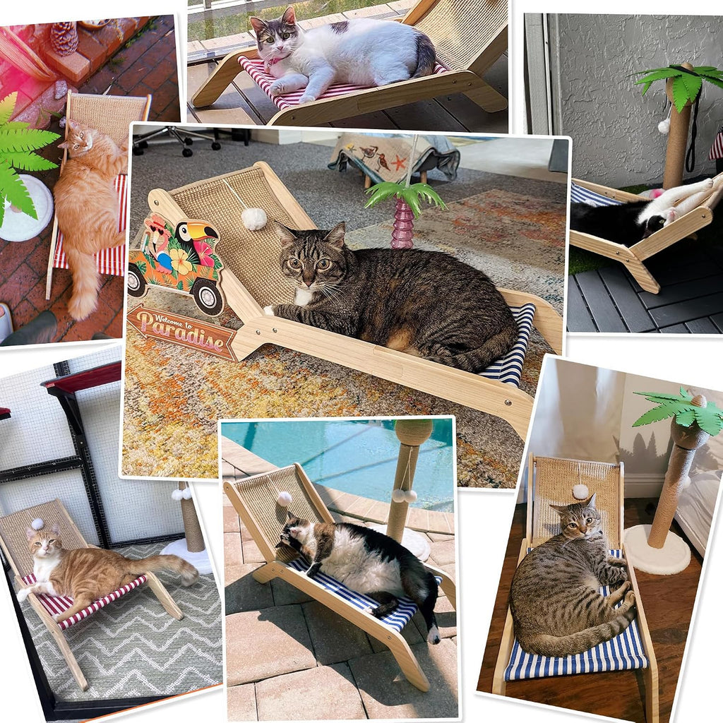 Cat Hammock with Coconut Palm Tree Scratching Post, Cozy Beach Chair Elevated Cat Beds, Original Lounger for Indoor