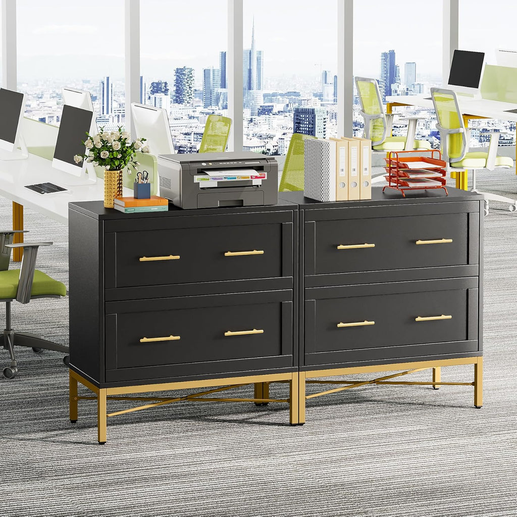 2 Drawer File Cabinet, Modern Wood Lateral Filing Cabinet for Letter/Legal/A4 Size, Large File Storage Cabinets