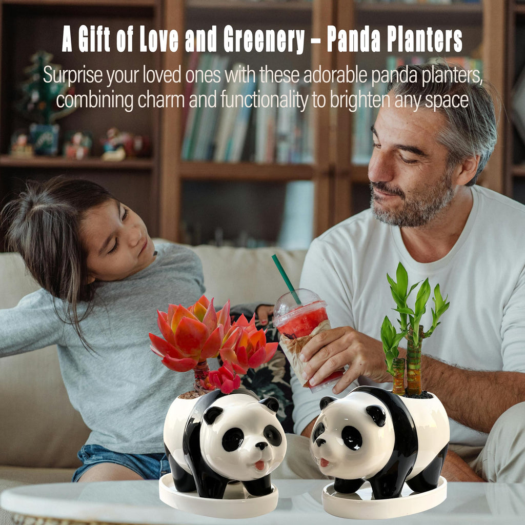 2PC Panda Bamboo Planter Pots-5.7'' Ceramic Animal Planters | Succulent Pots & Drainage Tray-Lucky Bamboo Plant Pots