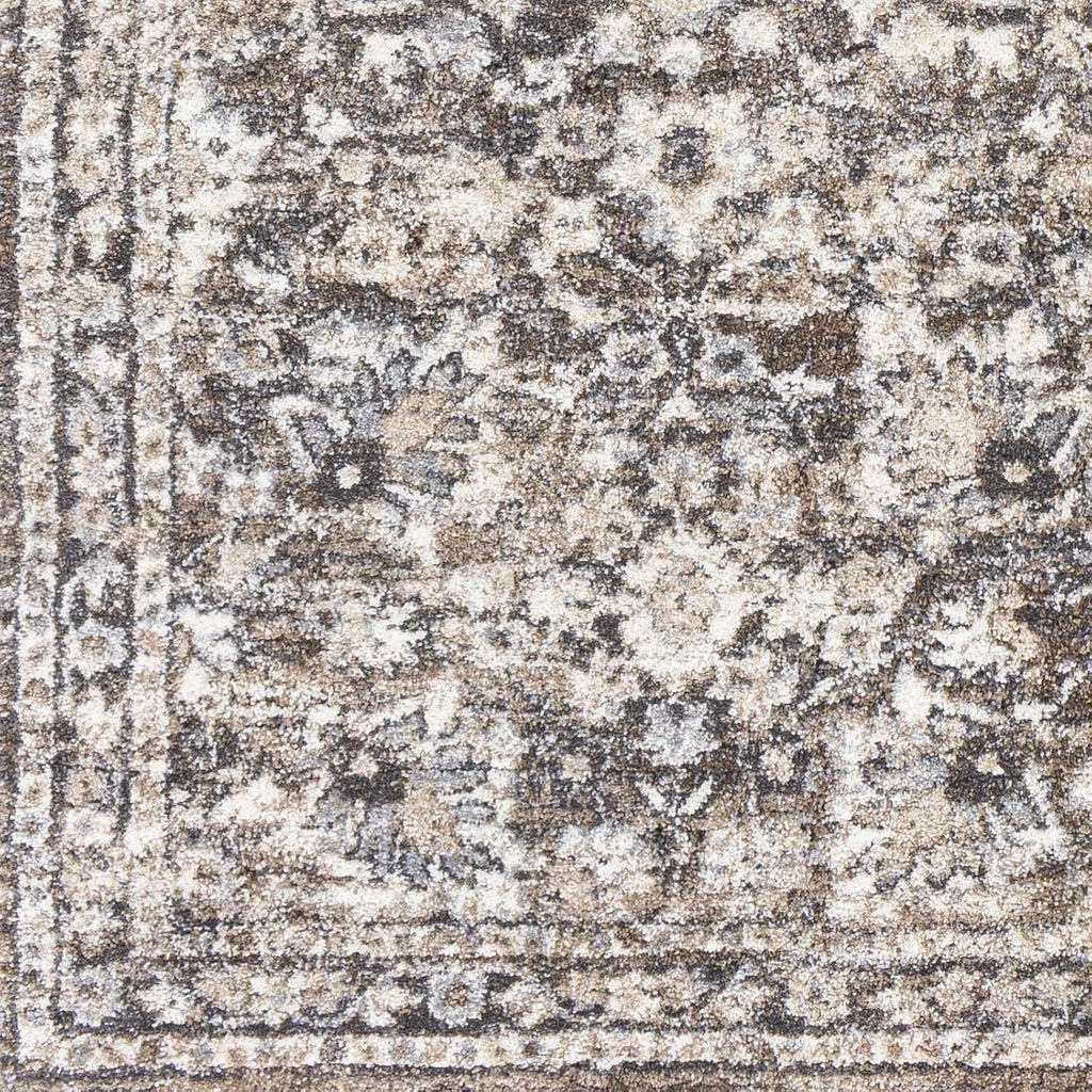Borobudur Area Rug - Floral Damask Border Medallion Distressed - Traditional Oriental Transitional Turkish - High