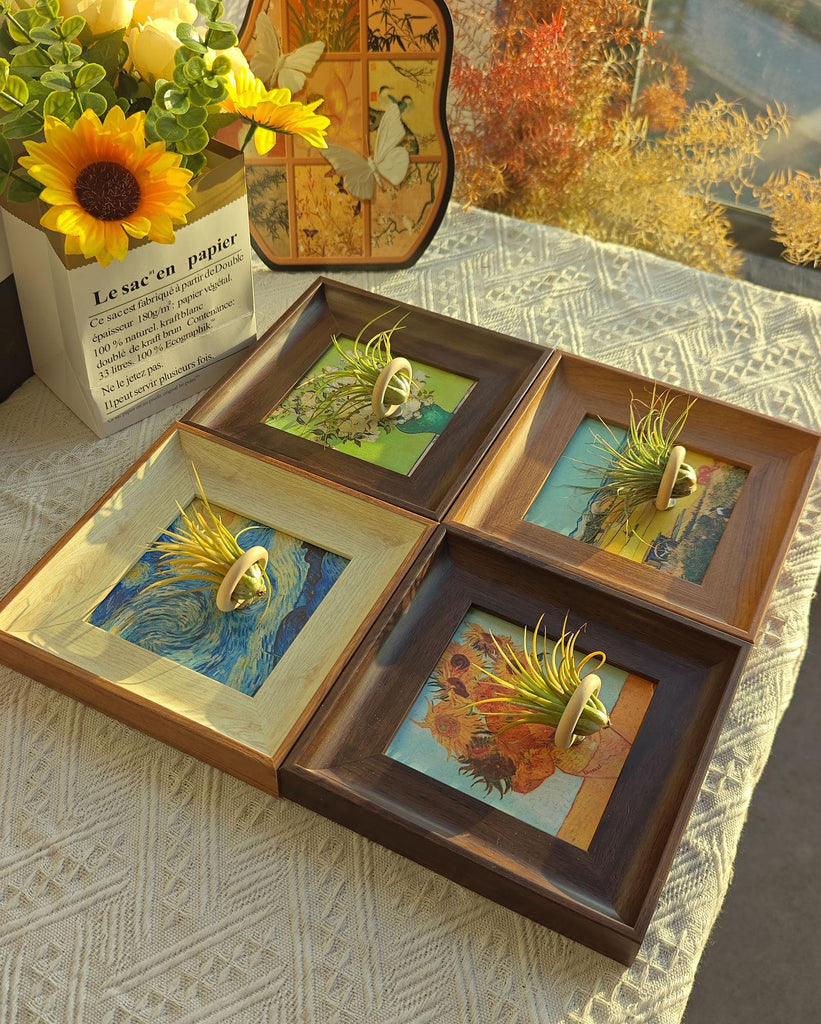 Set of 4 Van Gogh Painting & Air Plant Living Holder Stand Wall Art Decor