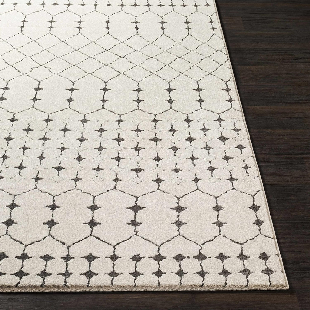 Chubbuck Living Room, Bedroom Area Rug - Trellis Geometric Diamond Lattice - Bohemian Moroccan Modern Contemporary