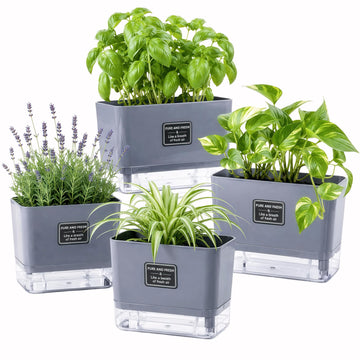 Self Watering Planters 4 Pack, 7 Inch Rectangle Plant Pots with Visible Water Reservoir, Indoor Outdoor Herb Planter