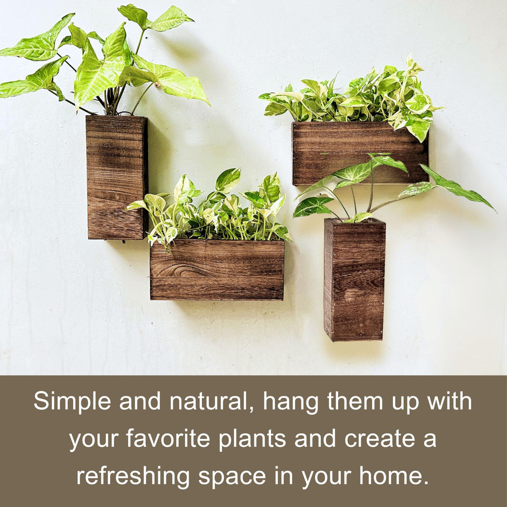 LaLaGreen Wooden Wall Planters (4 Pack) Hanging Wood Planter Box for Plants