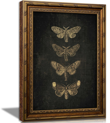 Vintage Gold Framed Moth Wall Art, Retro Dark Academia Butterfly Insect Canvas Print Poster, Gothic Decor Bedroom
