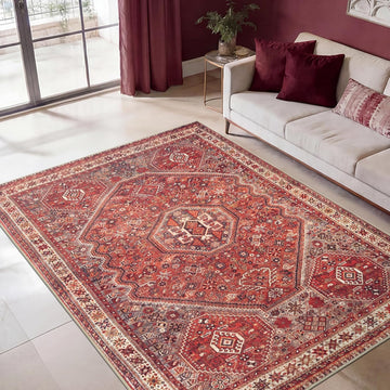 3x5 Rug - Machine Washable Entry Rug with Non-Slip Backing, Ideal