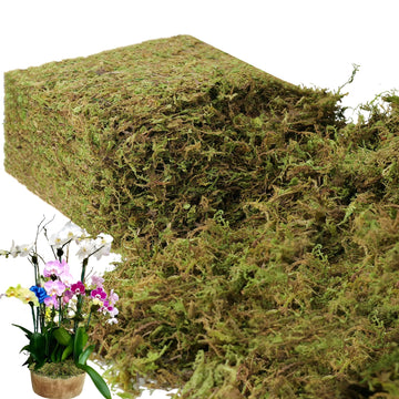 2.2LB Large Capacity Fake Moss for Plants Indoor, 35 OZ Fresh Green Moss for Potted Plants Craft Moss Decor Fairy